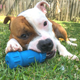 ID Bone-Dog Toy-Rover Pet Products